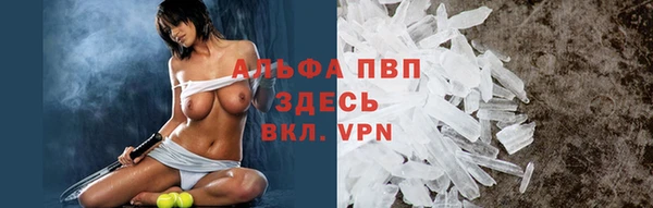 спиды Белокуриха