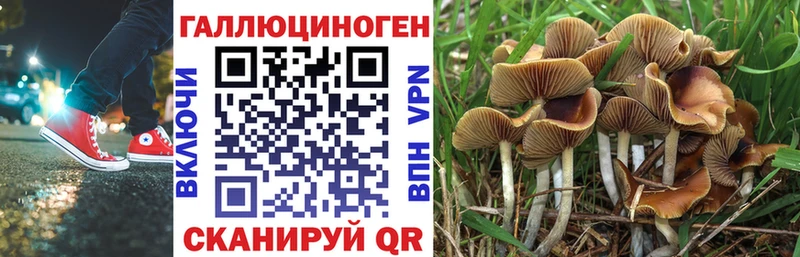 Купить  Гагарин  Галлюциногенные грибы Magic Shrooms 